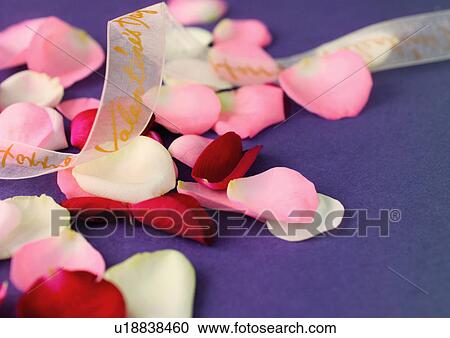 Indoor View Large Photo Image Stock Image - Indoor. Fotosearch