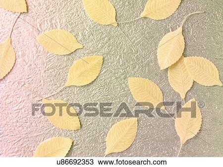 Indoor View Large Photo Image Stock Image - Indoor. Fotosearch