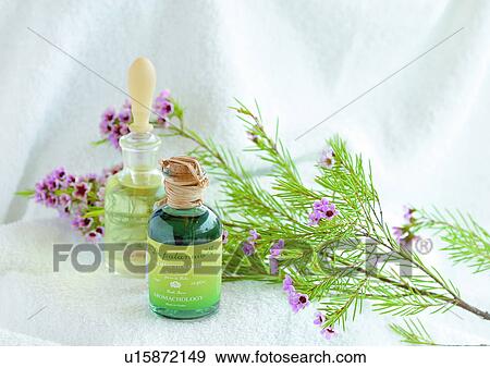 Stock Photo - Indoor, Three Objects. Fotosearch