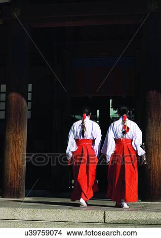 Picture - Meiji-jinja Shrine, Day, Outdoor. Fotosearch