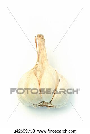 Stock Image - One Object, Still Life, Group Of Objects. Fotosearch