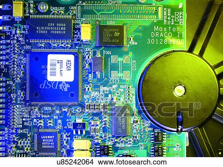 Picture - One Object, Toned Image. Fotosearch