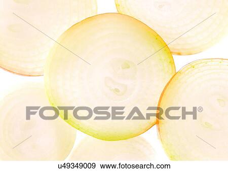 Stock Photo - onions, close-up, ready. Fotosearch