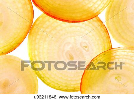 onions, close-up, ready View Large Photo Image Stock Photograph - onions, close-up, ready. Fotosearch