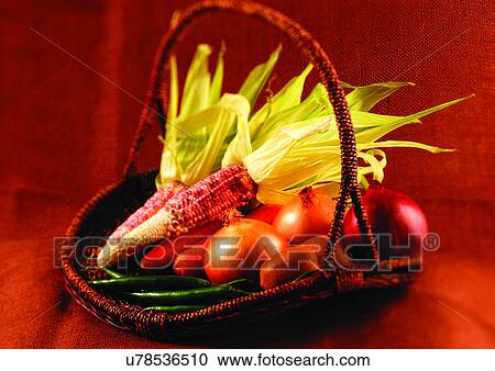 onions, vegetable, fresh View Large Photo Image Stock Image - onions, vegetable, fresh. Fotosearch