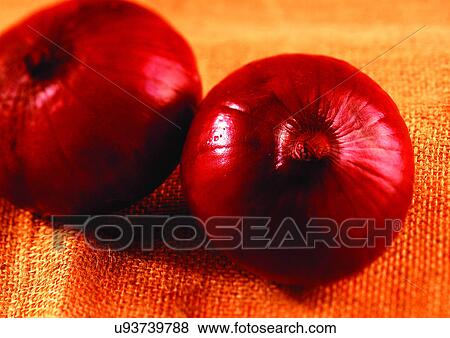 onions, vegetable, fresh View Large Photo Image Stock Photo - onions, vegetable, fresh. Fotosearch