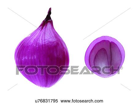 Stock Photography - onions, vegetable, fresh. Fotosearch