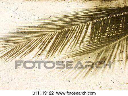 Stock Image - Outdoor, Beach, Day. Fotosearch
