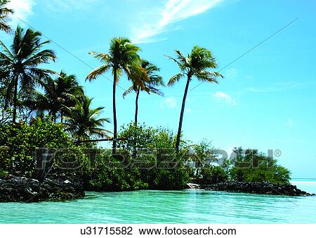 Stock Image - Outdoor, Beach, Day. Fotosearch