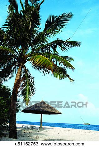Stock Image - Outdoor, Beach, Day. Fotosearch
