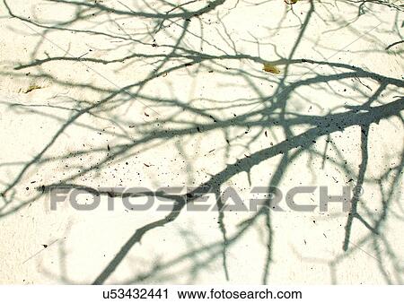 Stock Image - Outdoor, Beach, Day. Fotosearch