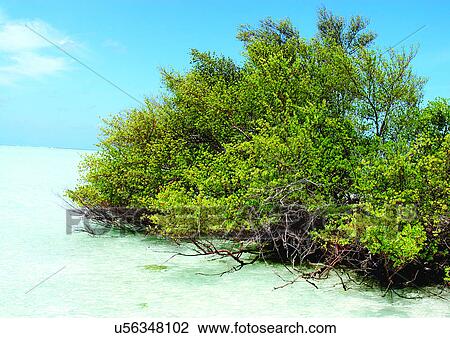 Stock Image - Outdoor, Beach, Day. Fotosearch