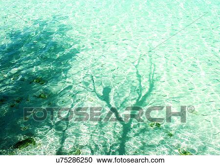 Outdoor, Beach, Day View Large Photo Image Stock Image - Outdoor, Beach, Day. Fotosearch