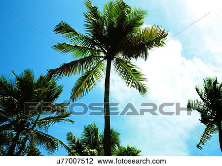 Stock Image - Outdoor, Beach, Day. Fotosearch