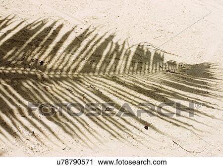 Stock Image - Outdoor, Beach, Day. Fotosearch