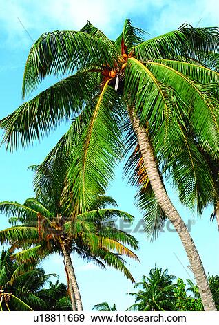 Stock Photo - Outdoor, Beach, Day. Fotosearch