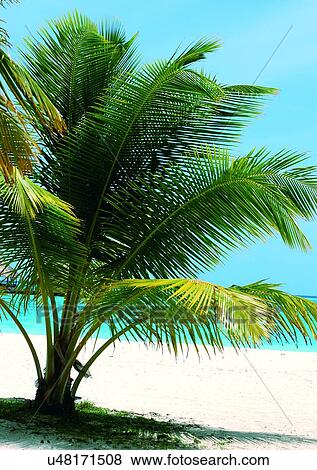 Outdoor, Beach, Day View Large Photo Image Stock Photo - Outdoor, Beach, Day. Fotosearch