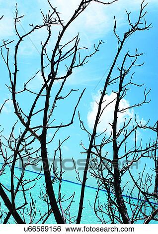 Stock Photograph - Outdoor, Beach, Day. Fotosearch