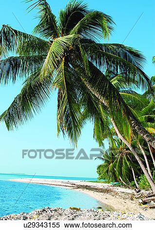 Stock Photography - Outdoor, Beach, Day. Fotosearch