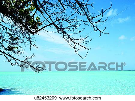 Outdoor, Day View Large Photo Image Stock Photo - Outdoor, Day. Fotosearch