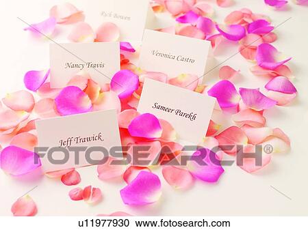 Stock Image - Place Card, Paper Card. Fotosearch