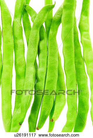Stock Photo - pods, vegetable, peas. Fotosearch