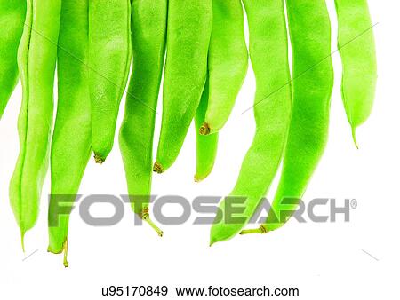 pods, vegetable, peas View Large Photo Image Stock Photo - pods, vegetable, peas. Fotosearch