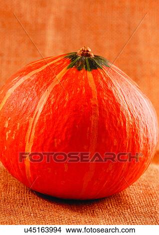 Picture - pumpkin, skin, close-up. Fotosearch
