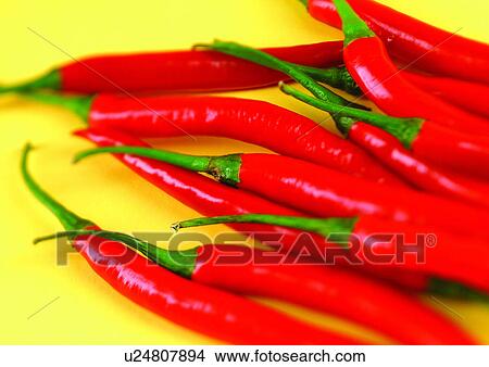 red, chilly, peppers View Large Photo Image Picture - red, chilly, peppers. Fotosearch