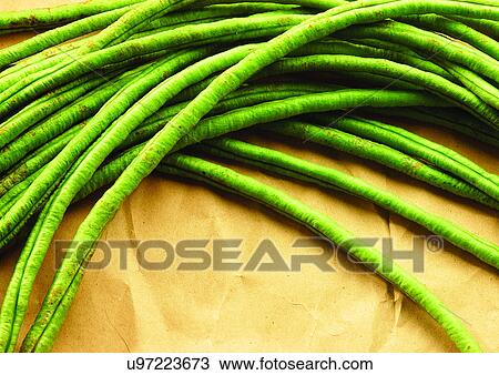 Stock Image - vegetable, raw, mature. Fotosearch