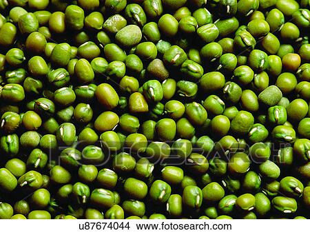 Picture - viva vegetables, vegetables. Fotosearch