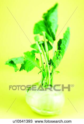 Stock Image - viva vegetables, vegetables. Fotosearch