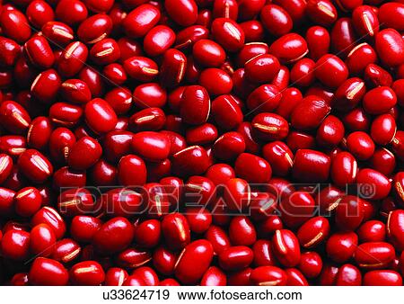 viva vegetables, vegetables View Large Photo Image Stock Photo - viva vegetables, vegetables. Fotosearch