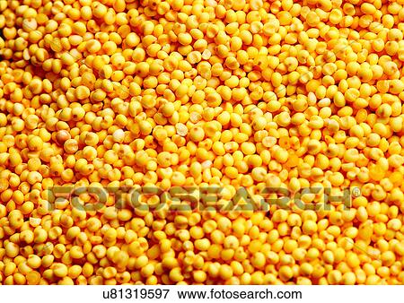 Stock Photo - viva vegetables, vegetables. Fotosearch