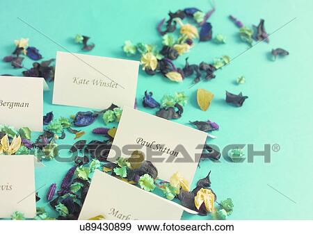 Wedding Party, Reception, Flower Petals View Large Photo Image Stock Photo - Wedding Party, Reception, Flower Petals. Fotosearch