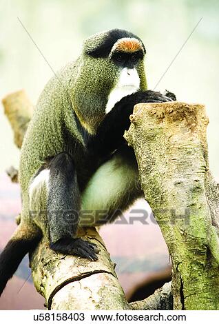 wilderness, attitude View Large Photo Image Stock Image - wilderness, attitude. Fotosearch
