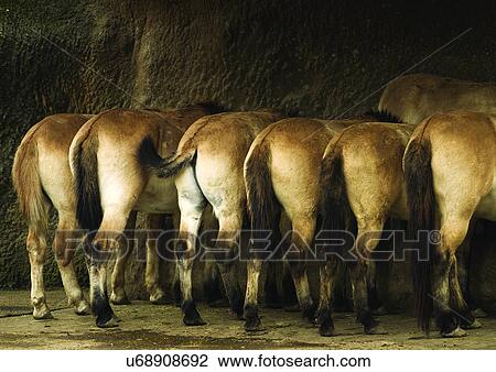 Stock Image - wilderness, attitude. Fotosearch