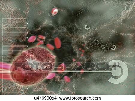 Biology, Cell, Close-Up, Cluster, Computer Graphics View Large Photo Image Picture - Biology, Cell, Close-Up, Cluster, Computer Graphics. Fotosearch