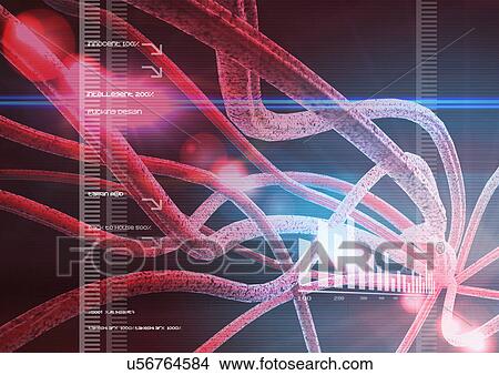 Picture - Biology, Cell, Close-Up, Computer Graphics, Digitally Generated Image. Fotosearch