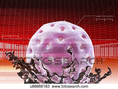 Stock Image - Biology, Cell, Close-Up, Computer Graphics, Digitally Generated Image. Fotosearch
