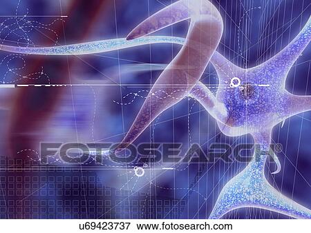 Stock Photo - Biology, Cell, Close-Up, Computer Graphics, Digitally Generated Image. Fotosearch
