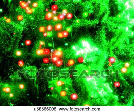 Christmas, indoors, lights, tree, flowers View Large Photo Image Stock Photo - Christmas, indoors, lights, tree, flowers. Fotosearch