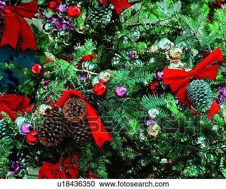 Christmas, indoors, tree, ornaments, pine cones, ribbons View Large Photo Image Stock Image - Christmas, indoors, tree, ornaments, pine cones, ribbons. Fotosearch