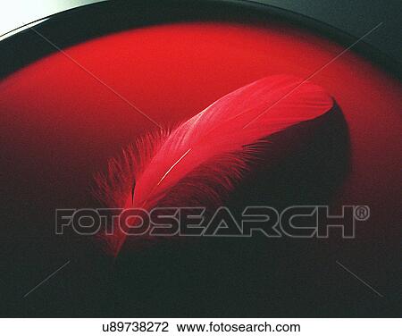Stock Image - close-up, background, soft light, round, light weight, feathers. Fotosearch
