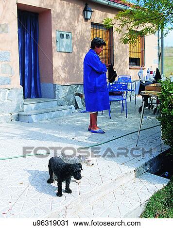 dog, outdoors, group, two, person, morning View Large Photo Image Stock Image - dog, outdoors, group, two, person, morning. Fotosearch