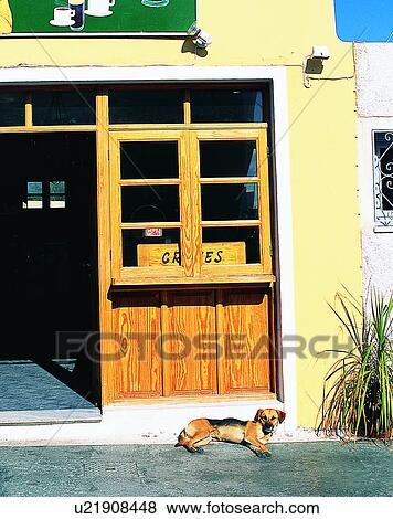 Stock Photo - dog, outdoors, lying down, resting, looking, door. Fotosearch