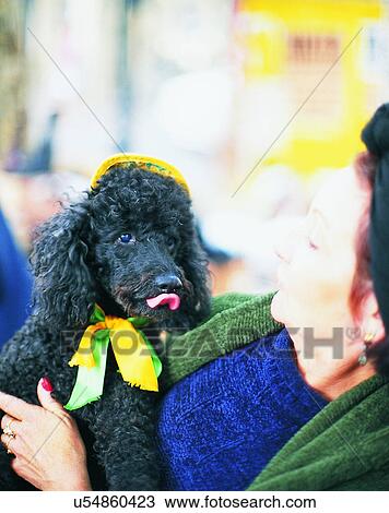 dog, outdoors, owner, person, sitting, hat View Large Photo Image Stock Image - dog, outdoors, owner, person, sitting, hat. Fotosearch