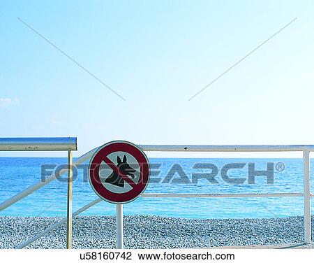 dog, outdoors, sign, no dogs allowed, beach, water View Large Photo Image Stock Image - dog, outdoors, sign, no dogs allowed, beach, water. Fotosearch