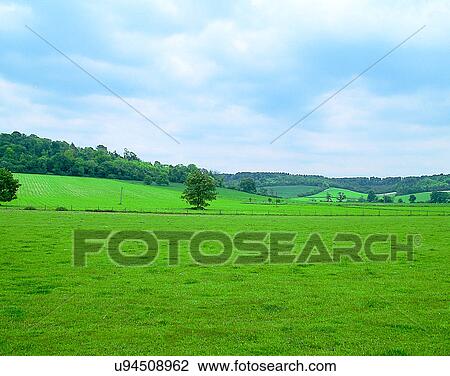 Stock Image - England, UK, Europe, outdoors, countryside, farm. Fotosearch