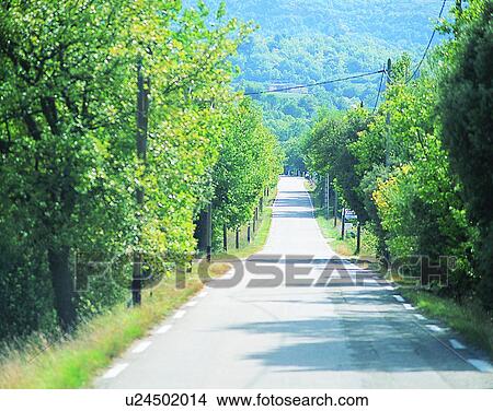 Europe, outdoors, roads, countryside, trees, scenery View Large Photo Image Picture - Europe, outdoors, roads, countryside, trees, scenery. Fotosearch